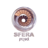Логотип Sferaproject