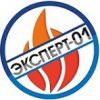 Логотип Эксперт-01